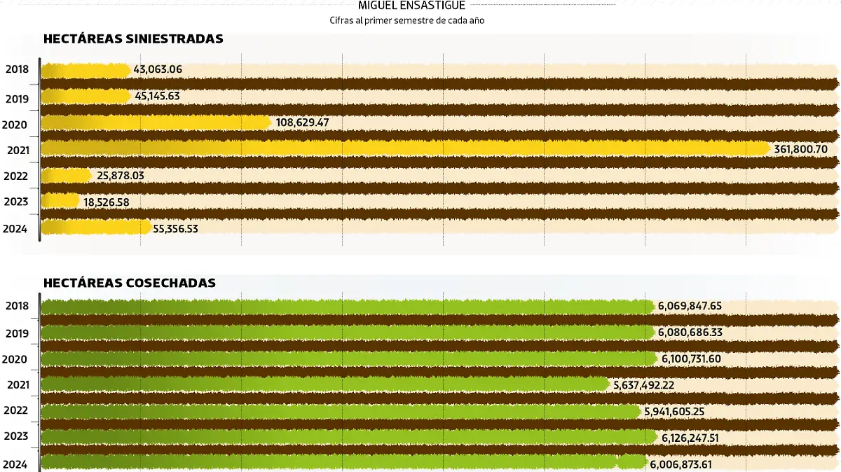 25JUL24 Arrasan Cultivos DATA JUEVES WEB